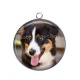 Pendentif Cabochon Argent - chien