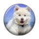 Cabochon Résine - chien