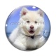 Cabochon Verre - chien
