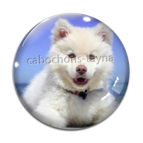 Cabochon Verre - chien