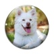 Cabochon Verre - chien