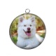 Pendentif Cabochon Argent - chien