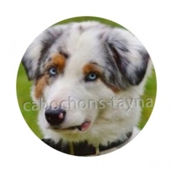 chien