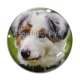 Cabochon Verre - chien