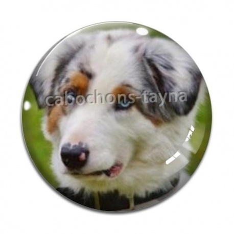Cabochon Verre - chien