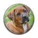 Cabochon Résine - chien
