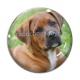 Cabochon Verre - chien
