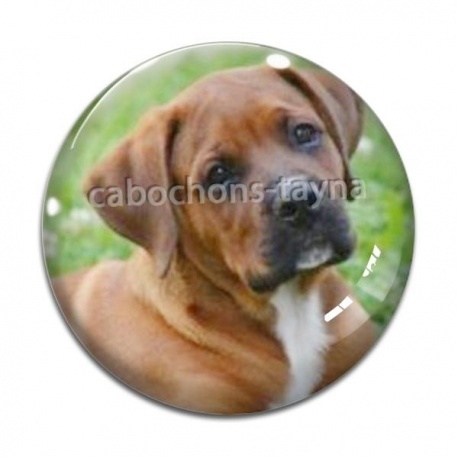 Cabochon Verre - chien