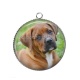 Pendentif Cabochon Argent - chien