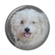 Cabochon Résine - chien