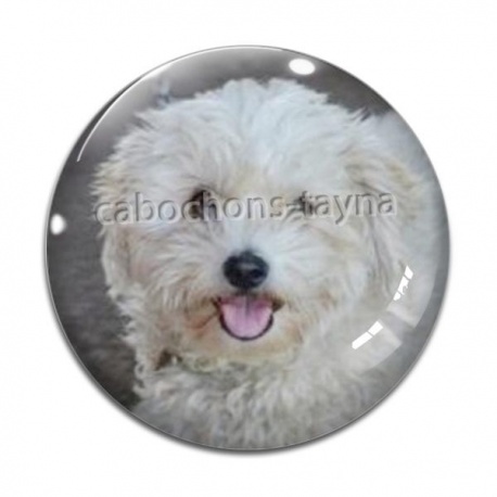 Cabochon Verre - chien