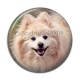 Cabochon Résine - chien
