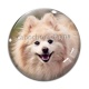Cabochon Verre - chien