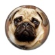 Cabochon Résine - chien