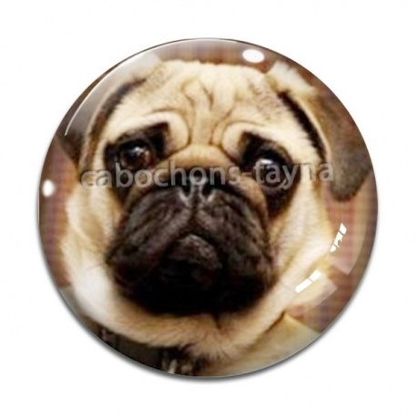 Cabochon Verre - chien
