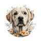 chien