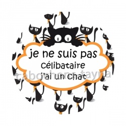 je ne suis pas célibataire j'ai un chat