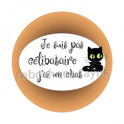 je ne suis pas célibataire j'ai un chat