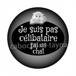 je ne suis pas célibataire j'ai un chat