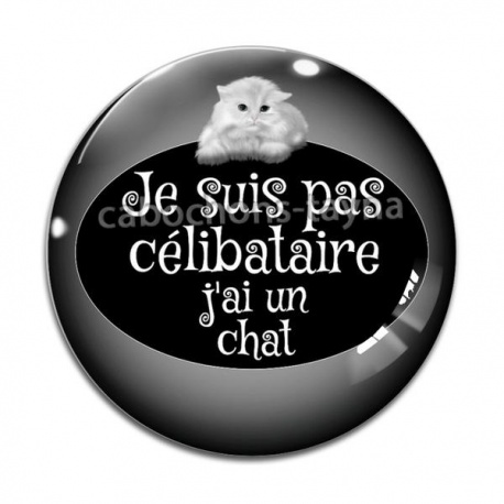 Cabochon Verre - je ne suis pas célibataire j'ai un chat