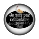 je ne suis pas célibataire j'ai un chat