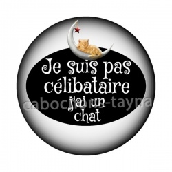 je ne suis pas célibataire j'ai un chat