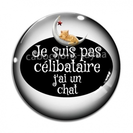 Cabochon Verre - je ne suis pas célibataire j'ai un chat
