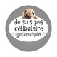 je ne suis pas célibataire j'ai un chien