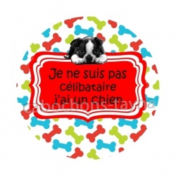 je ne suis pas célibataire j'ai un chien