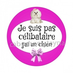 je ne suis pas célibataire j'ai un chien
