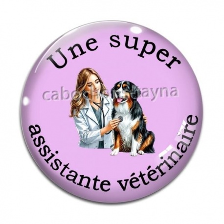 Cabochon Verre - assistante vétérinaire