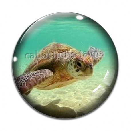 Cabochon Verre - tortue