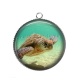 Pendentif Cabochon Argent - tortue