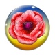 Cabochon Verre - fleur coquelicot
