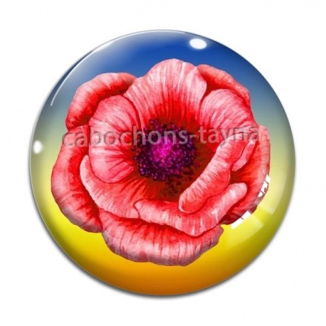 Cabochon Verre - fleur coquelicot