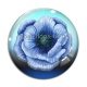 Cabochon Verre - fleur coquelicot
