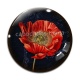Cabochon Verre - coquelicot