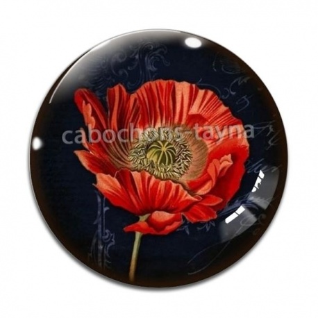 Cabochon Verre - coquelicot