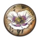 Cabochon Résine - coquelicot