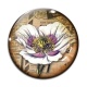 Cabochon Verre - coquelicot