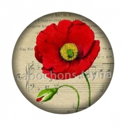 coquelicot