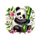 panda
