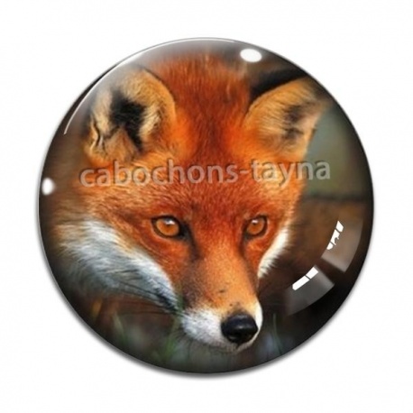 Cabochon Verre - renard
