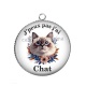 Pendentif Cabochon Argent - j'peux pas j'ai chat