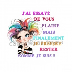 j'ai essayé de vous plaire 