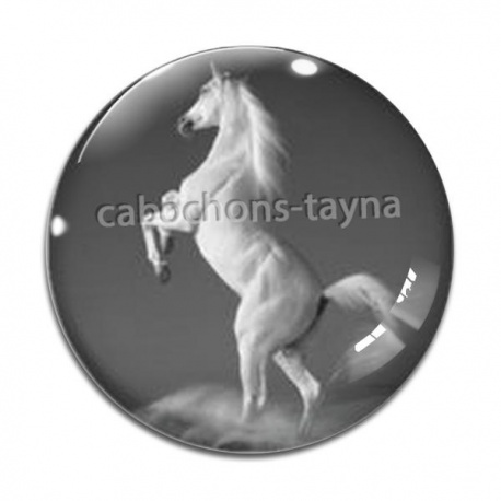 Cabochon Verre - cheval