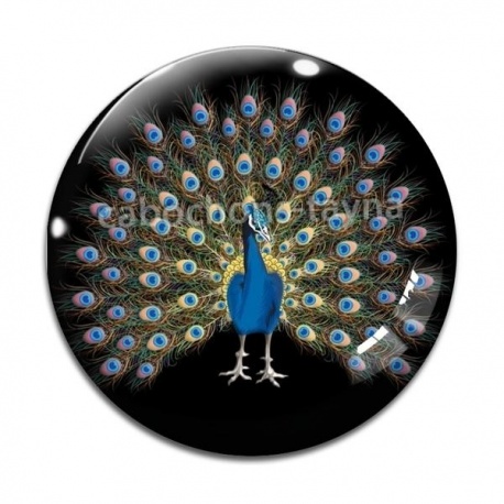 Cabochon Verre - paon
