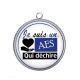 Pendentif Cabochon Argent - AES qui déchire