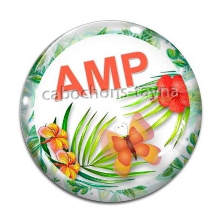 Cabochon Verre - AMP