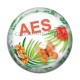 Cabochon Résine - AES